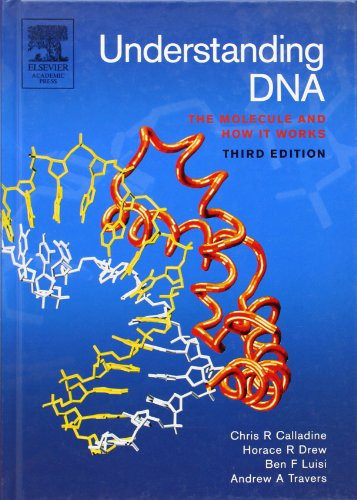 Understanding DNA: The Molecule and How it Works