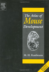 Atlas of Mouse Development