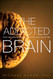 Addicted Brain The: Why We Abuse Drugs Alcohol and Nicotine