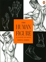 Human Figure: An Anatomy for Artists