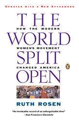 World Split Open: How the Modern Women's Movement Changed America