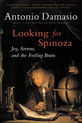 Looking for Spinoza: Joy Sorrow and the Feeling Brain