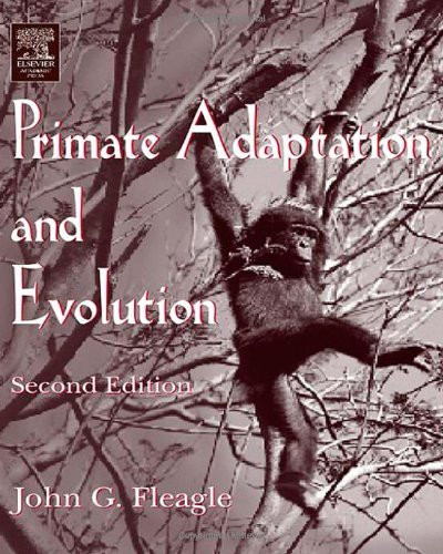 Primate Adaptation And Evolution