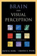 Brain and Visual Perception
