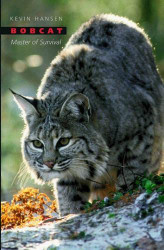 Bobcat: Master of Survival