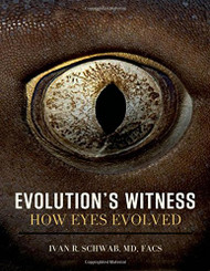 Evolution's Witness: How eyes evolved