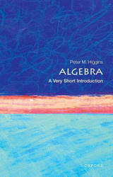Algebra: A Very Short Introduction (Very Short Introductions)