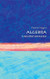 Algebra: A Very Short Introduction (Very Short Introductions)