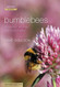Bumblebees: Behaviour Ecology and Conservation