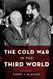 Cold War in the Third World - Reinterpreting History: How