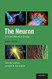 Neuron: Cell and Molecular Biology