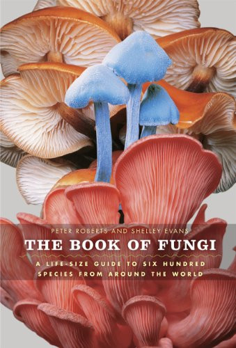Book of Fungi: A Life-Size Guide to Six Hundred Species from