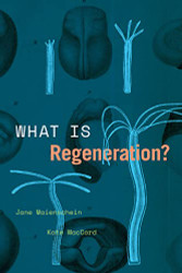 What Is Regeneration