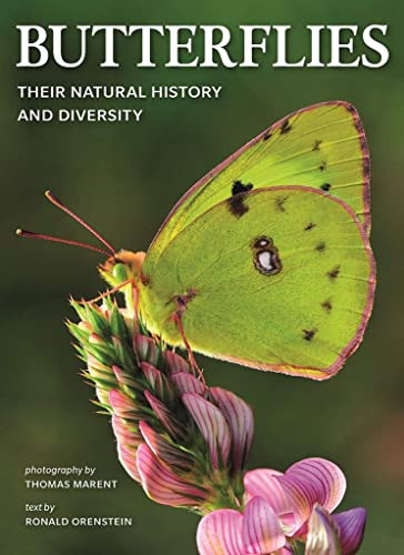 Butterflies: Their Natural History and Diversity