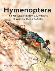 Hymenoptera: The Natural History and Diversity of Wasps Bees