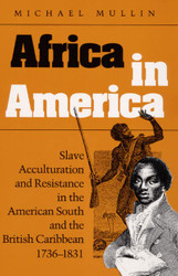 Africa in America: Slave Acculturation and Resistance in the American
