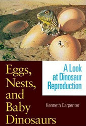 Eggs Nests and Baby Dinosaurs