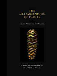 Metamorphosis of Plants