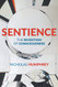 Sentience: The Invention of Consciousness