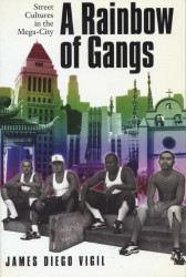 Rainbow of Gangs: Street Cultures in the Mega-City