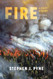 Fire: A Brief History (Weyerhaeuser Environmental Books)