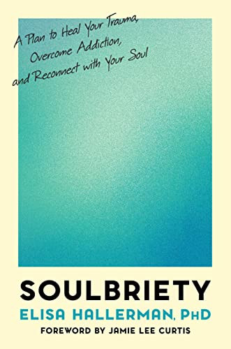 Soulbriety: A Plan to Heal Your Trauma Overcome Addiction