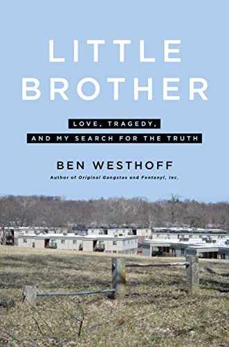 Little Brother: Love Tragedy and My Search for the Truth