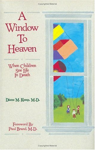 Window to Heaven: When Children See Life in Death