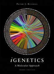 iGenetics: A Molecular Approach