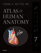 Atlas of Human Anatomy Professional Edition