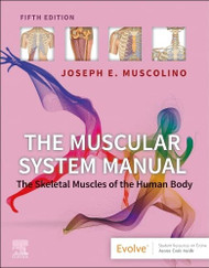 Muscular System Manual