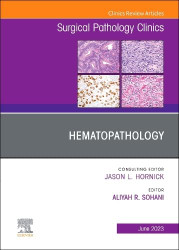 Hematopathology An Issue of Surgical Pathology Clinics Volume 16-2