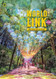 World Link Intro with the Spark platform - World Link: Developing