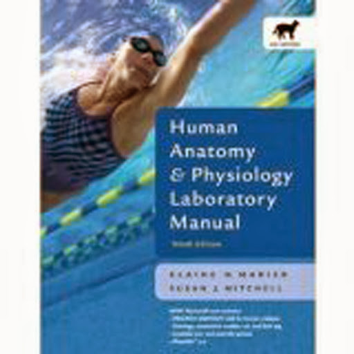 Human Anatomy And Physiology Laboratory Manual Cat Version by Marieb American Book Warehouse