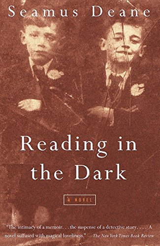 Reading in the Dark: A Novel