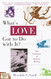 What's Love Got to Do with It?: The Evolution of Human Mating