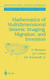 Mathematics of Multidimensional Seismic Imaging Migration
