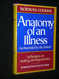 Anatomy Illness: as Percieved