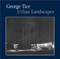 George Tice: Urban Landscapes