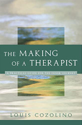 Making of a Therapist (Norton Professional Books)