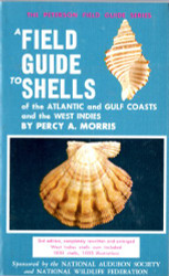 Field Guide to Shells in Atlantic Gulf Coast