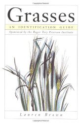 Grasses: An Identification Guide