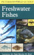 Field Guide to Freshwater Fishes: North America North of Mexico