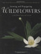 New England Wild Flower Society Guide to Growing and Propagating
