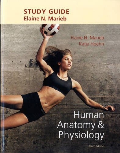 Study Guide For Human Anatomy And Physiology