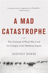 Mad Catastrophe: The Outbreak of World War I and the Collapse