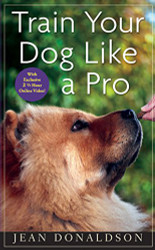 Train Your Dog Like a Pro