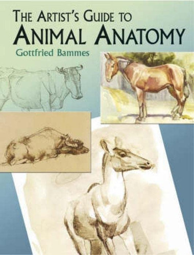 Artist's Guide to Animal Anatomy (Dover Anatomy for Artists)