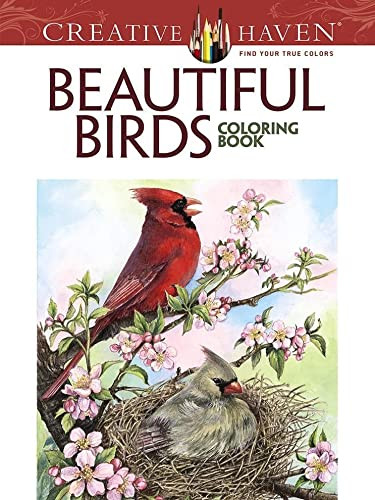 Adult Coloring Beautiful Birds Coloring Book - Creative Haven Coloring