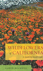 Wildflowers of California: A Month-by-Month Guide